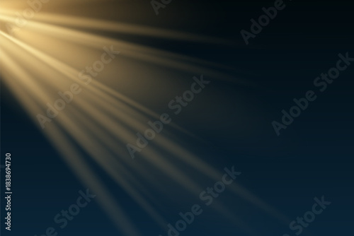 Light effect . Glow isolated white transparent light effect set, lens flare, explosion, glitter, dust, line, sun flash, spark and stars, spotlight, curve twirl.