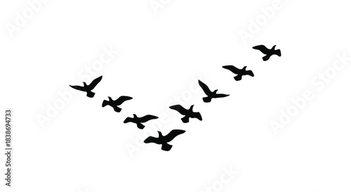 Flock of birds flying in V formation across a clear sky