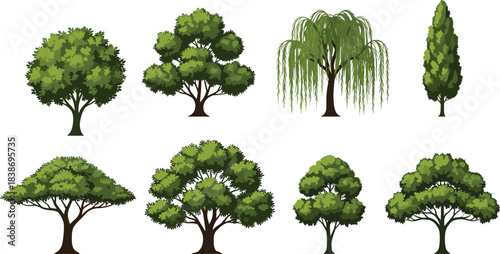 Collection of Different Green Trees Vector Illustration Set: Including Willow, Cypress, Oak, and Generic Foliage for Nature, Park, and Landscape Design Elements.