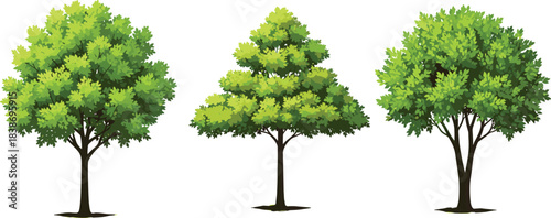 Top View Decorative Bush and Hedge Vector Set, Aerial Perspective Greenery Elements for Architectural Landscape Plans and Garden Design Layouts