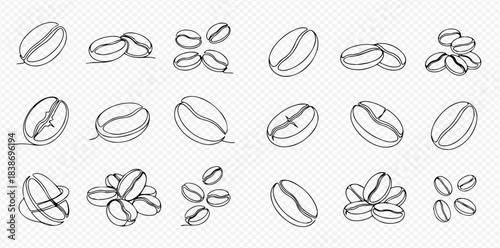 Continuous line art drawings of coffee beans in various arrangements and perspectives.
