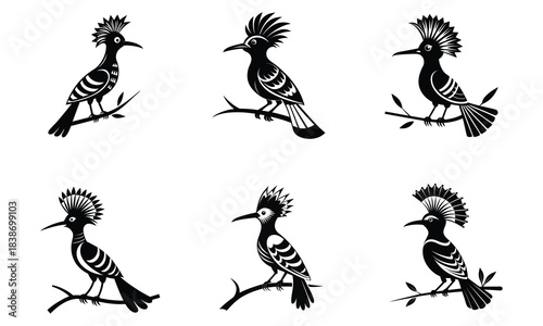 Six Black Hoopoe Bird Silhouettes on Branches, Crested Wildlife Vector Icons.