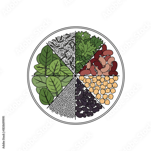 Vibrant Healthy Food Bowl Illustration Diverse Ingredients Arranged in Segments