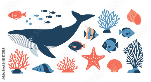 A collection of stylized sea life illustrations, including a large blue whale, fish, coral, and shells in a flat design style.