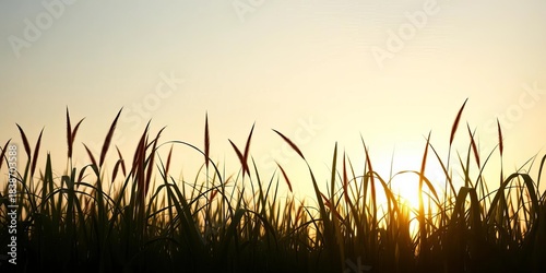 Silhouette of continuous, undulating grass against a bright sky, art, simple