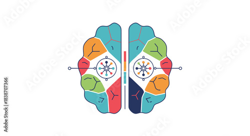 Colorful human brain illustration showing two hemispheres with distinct regions and interconnected nodes