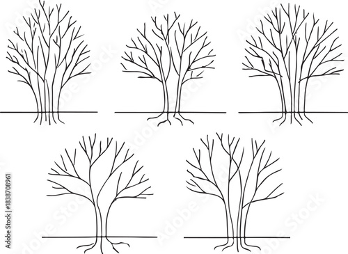 Minimal Tree and Forest Line Drawings for CAD Projects