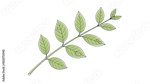 Stylized illustration of a plant stem with opposite green leaves some showing minor damage