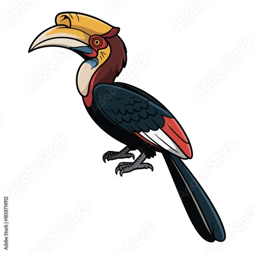 hornbill