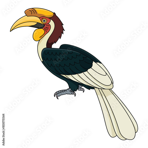 hornbill