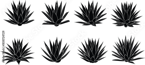 Set of eight black agave plant silhouettes with distinct leaf shapes for botanical vector design on white background, isolated style.