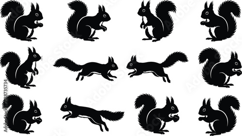 Squirrel silhouette icon set showing various poses and actions including sitting, running, and holding nuts for wildlife and nature themes