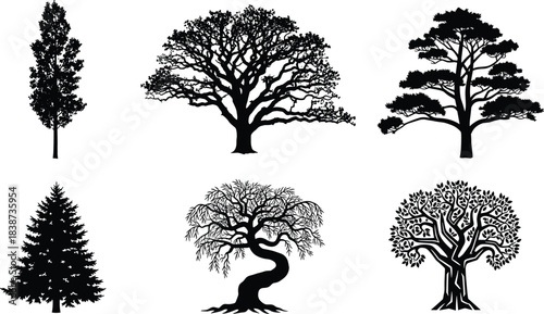 Tree silhouettes, diverse tree shapes, black botanical icons, forest elements, branching patterns, nature design, artistic trees, isolated trees, vector foliage, stylized trees