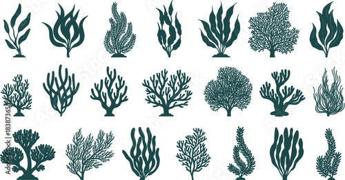 Collection of seaweed and underwater plant vector silhouettes featuring marine algae, coral-like shapes, and ocean botanical elements