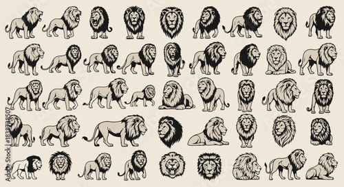 Collection of Lion Icons and Illustrations for Graphic Design Projects