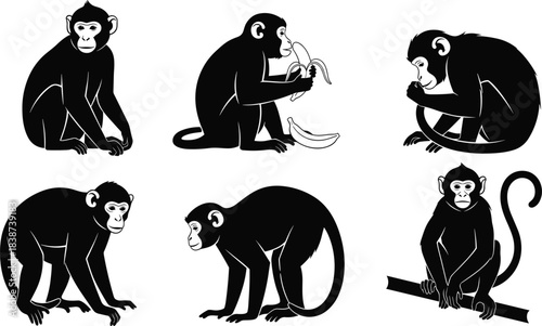 Monkey silhouette set, sitting, crawling, banana pose, black vector, animal behavior, white background, jungle motion, tail curl, expressive primates