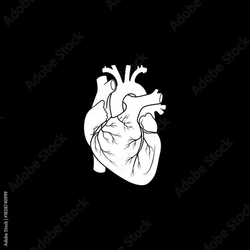 A stylized anatomical human heart rendered in white outline and fill on a stark black background.