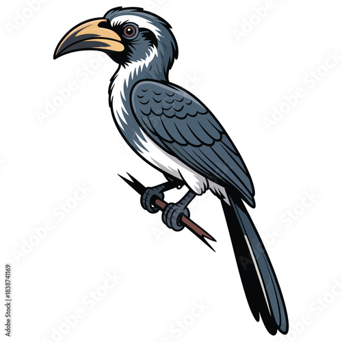 hornbill