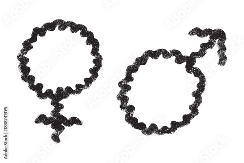 Hand drawn female and male gender identity sign Symbol used to represent sex and gender Single element for print, web, design, decor