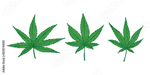 Set of hand drawn cannabis leaf Medicine marijuana Hemp leaves clipart in doodle style Single element for print, web, design, decor