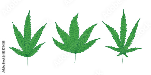 Set of hand drawn cannabis leaf Medicine marijuana Hemp leaves clipart in doodle style Single element for print, web, design, decor
