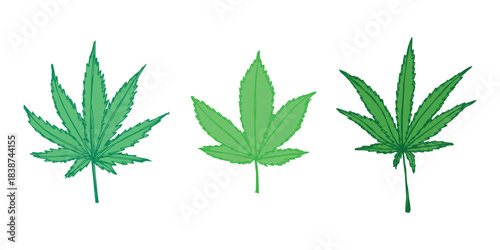 Set of hand drawn cannabis leaf Medicine marijuana Hemp leaves clipart in doodle style Single element for print, web, design, decor