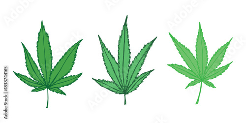 Set of hand drawn cannabis leaf Medicine marijuana Hemp leaves clipart in doodle style Single element for print, web, design, decor