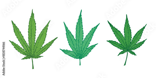 Set of hand drawn cannabis leaf Medicine marijuana Hemp leaves clipart in doodle style Single element for print, web, design, decor