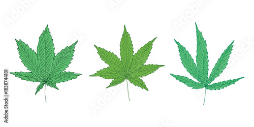 Set of hand drawn cannabis leaf Medicine marijuana Hemp leaves clipart in doodle style Single element for print, web, design, decor