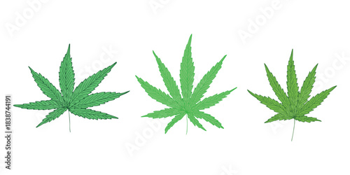 Set of hand drawn cannabis leaf Medicine marijuana Hemp leaves clipart in doodle style Single element for print, web, design, decor