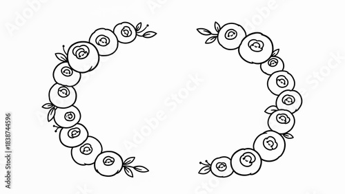 Delicate blueberry frame, botanical illustration and elegant border with summer fruits, nature's