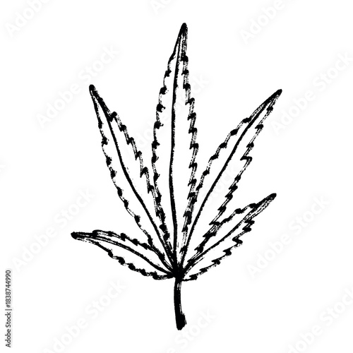 Hand drawn cannabis leaf Medicine marijuana Hemp leaves clipart in doodle style Single element for print, web, design, decor