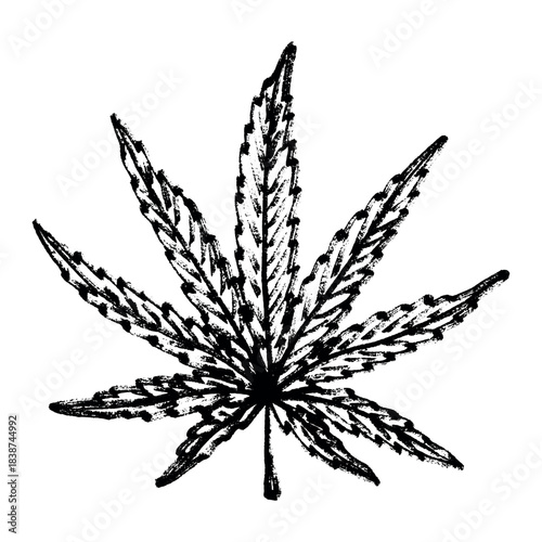 Hand drawn cannabis leaf Medicine marijuana Hemp leaves clipart in doodle style Single element for print, web, design, decor