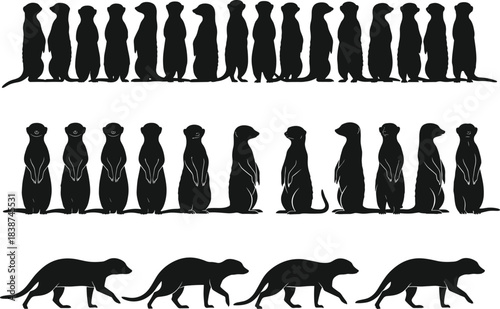 Meerkat silhouette set, African wildlife standing and walking poses, cute animal collection, cad drawing flat vector illustration