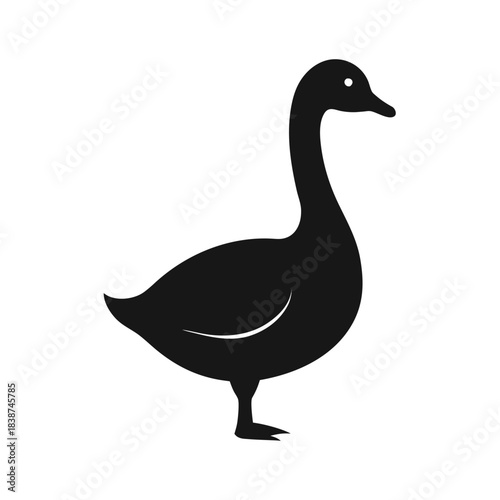Isolated wild goose bird with white feathers and an orange beak standing as a farm animal vector illustration on a white background