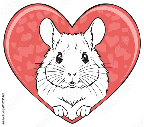 Cute cartoon chinchilla peeking from a red heart Valentine's Day illustration