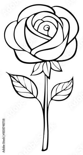 Elegant monochrome rose with delicate leaves drawing illustration for floral designs or educational botany material