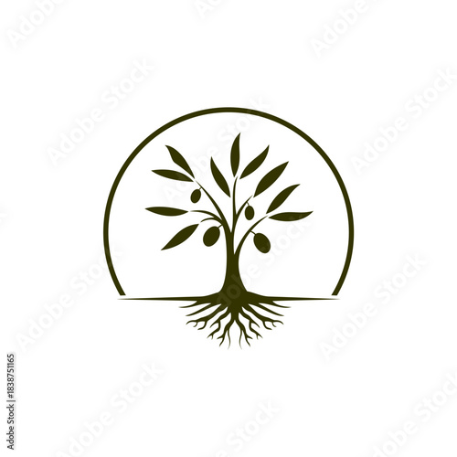 Stylized Olive Tree with Roots Logo