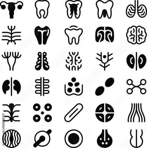 Set of human anatomy icons, organs, and cells, medical biology