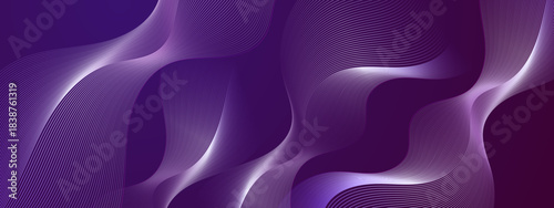 Abstract Elegant Wave Design With Smooth Curves And Soft Light Edges
