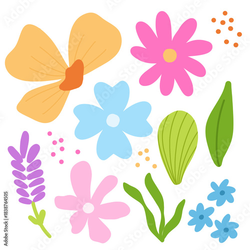 Colorful Hand-Drawn Floral Elements Illustration on Black Background