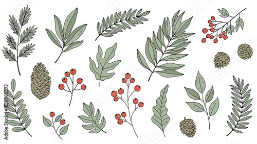 Hand-drawn Winter Botanical Elements: Pine Cones, Berries, and Leaves Vector Art