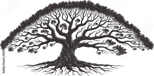 Majestic ancient tree with sprawling roots and leafy canopy, botanical vector illustration, nature symbol, grounding icon, eco design element