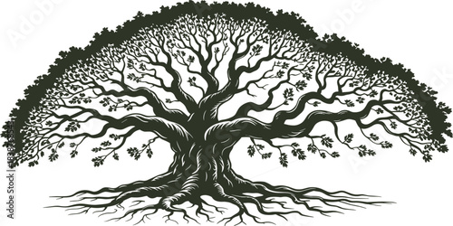 Majestic ancient tree with sprawling roots and leafy canopy, botanical vector illustration, nature symbol, grounding icon, eco design element