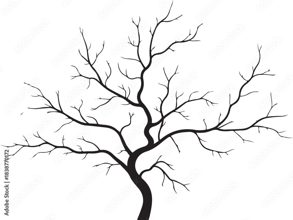 Fototapeta premium Black silhouette of a bare tree with spreading branches