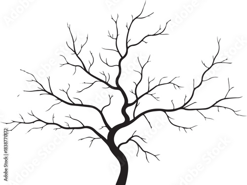 Black silhouette of a bare tree with spreading branches