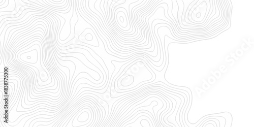 Abstract topography pattern seamless lines sea map modern design white background. Abstract digital topographic contour map concept space geometric strip grid line. Natural discovery of maps.