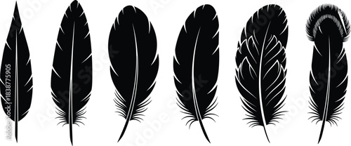Detailed Bird Plumes Vector Collection for Native American, Boho, and Writing or Design Elements