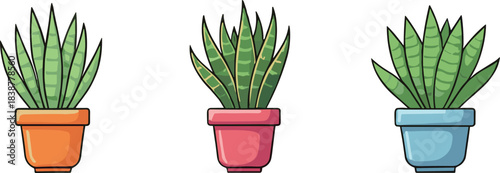 Illustration of three decorative indoor potted plants in colorful pots featuring green leaves, home decor elements, botanical design and houseplant collection