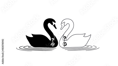 Black and white swans forming a symbol of love and mystery.